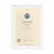 White Scoop Certificate Frame